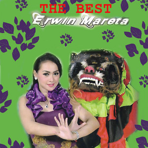 Download Lagu Erwin Mareta - Sing Penting Goyange MP3 Download Lagu Erwin Mareta - Sing Penting Goyange MP3