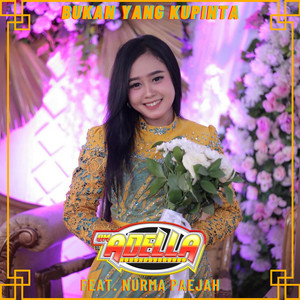 Download Lagu OM Adella, Nurma Paejah - Bukan Yang Kupinta MP3 Download Lagu OM Adella, Nurma Paejah - Bukan Yang Kupinta MP3