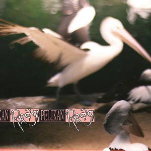 Download Lagu Rrag - Pelikan MP3 Download Lagu Rrag - Pelikan MP3