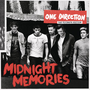Download Lagu One Direction - Don't Forget Where You Belong MP3