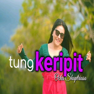 Download Lagu Ocha Shaptriasa - Tung Keripit MP3