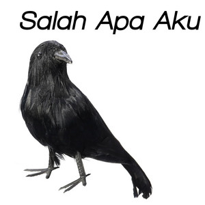 Download Lagu Randarzky - Salah Apa Aku Burung Gagak MP3 Download Lagu Randarzky - Salah Apa Aku Burung Gagak MP3