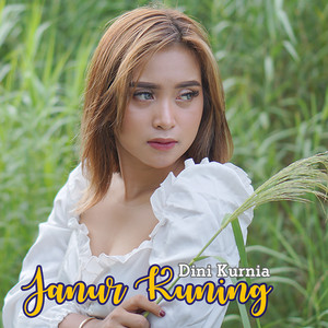 Download Lagu Dini Kurnia - Janur Kuning MP3