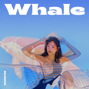 Download Lagu SEJEONG - Whale MP3 Download Lagu SEJEONG - Whale MP3