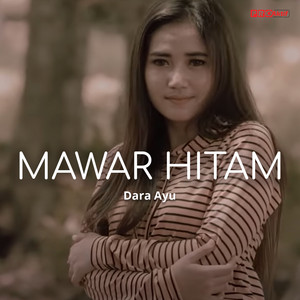 Download Lagu Dara Ayu - Mawar Hitam MP3 Download Lagu Dara Ayu - Mawar Hitam MP3