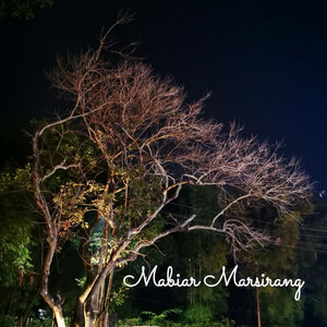 Download Lagu Style Voice - MABIAR MARSIRANG MP3