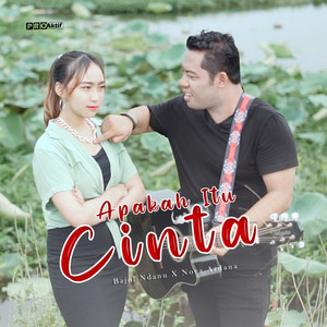 Download Lagu Bajol Ndanu, Nova Ardana - Apakah Itu Cinta MP3 Download Lagu Bajol Ndanu, Nova Ardana - Apakah Itu Cinta MP3