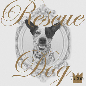 Download Lagu Train - Rescue Dog MP3 Download Lagu Train - Rescue Dog MP3