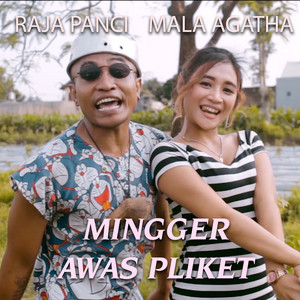 Download Lagu Mala Agatha, Raja Panci - Mingger Awas pliket MP3 Download Lagu Mala Agatha, Raja Panci - Mingger Awas pliket MP3