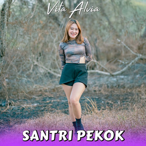 Download Lagu Vita Alvia - Santri Pekok MP3