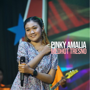 Download Lagu Pinky Amalia - Medhot Tresno MP3 Download Lagu Pinky Amalia - Medhot Tresno MP3