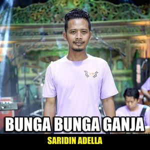 Download Lagu Saridin Adella - Bunga Bunga Ganja MP3 Download Lagu Saridin Adella - Bunga Bunga Ganja MP3
