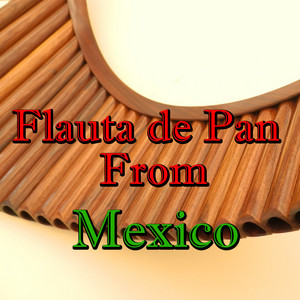 Download Lagu Wilderness - El pastor solitario MP3 Download Lagu Wilderness - El pastor solitario MP3