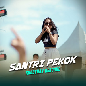 Download Lagu KRADENAN REBOUND - Santri Pekok MP3