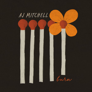 Download Lagu AJ Mitchell - Burn MP3