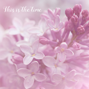 Download Lagu Aimee Fleur - This Is The Time MP3 Download Lagu Aimee Fleur - This Is The Time MP3