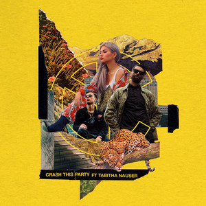 Download Lagu Yellow Claw, Tabitha Nauser - Crash This Party MP3
