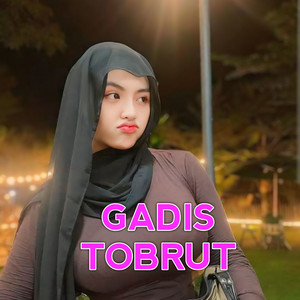 Download Lagu Gadis Tobrut - Dj Anugrah Terindah MP3 Download Lagu Gadis Tobrut - Dj Anugrah Terindah MP3