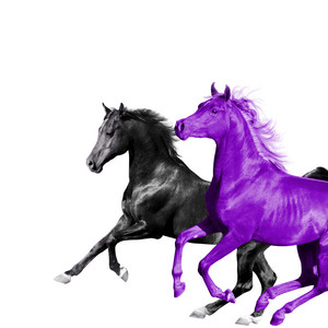 Download Lagu Lil Nas X, RM, BTS - Old Town Road (feat. RM of BTS) - Seoul Town Road Remix MP3 Download Lagu Lil Nas X, RM, BTS - Old Town Road (feat. RM of BTS) - Seoul Town Road Remix MP3