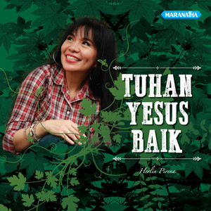 Download Lagu Herlin Pirena - Bila Topan Kras Melanda Hidupmu MP3