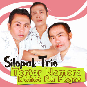 Download Lagu Silopak Trio - Di Aek Sibulbulon MP3 Download Lagu Silopak Trio - Di Aek Sibulbulon MP3
