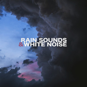 Download Lagu Nature Noise - Deep Forest Soft Rain Birds Chirp Away MP3