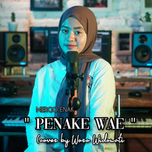 Download Lagu Woro Widowati - Penake Wae MP3 Download Lagu Woro Widowati - Penake Wae MP3