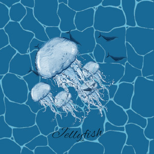 Download Lagu Rio Satrio - Jellyfish MP3 Download Lagu Rio Satrio - Jellyfish MP3