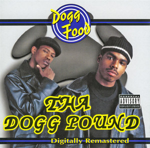 Download Lagu Tha Dogg Pound - New York, New York MP3 Download Lagu Tha Dogg Pound - New York, New York MP3