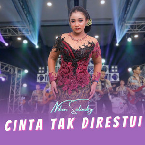 Download Lagu Niken Salindry - Cinta Tak Direstui MP3 Download Lagu Niken Salindry - Cinta Tak Direstui MP3