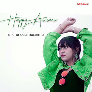 Download Lagu Happy Asmara - Tak Tunggu Mulihmu MP3