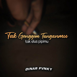 Download Lagu Dinar Fvnky - TAK GENGGEM TANGANMU TAK ELUS PIPIMU MP3