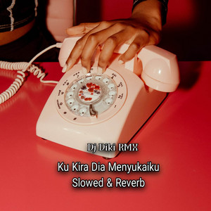 Download Lagu DJ Diki Rmx - DJ Ku Kira Dia Menyukaiku Slow & Reverb MP3