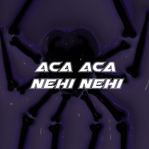 Download Lagu Rizky Remixer - Aca Aca Nehi Nehi MP3