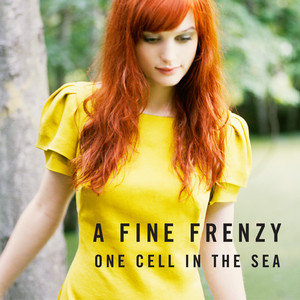 Download Lagu A Fine Frenzy - Lifesize MP3 Download Lagu A Fine Frenzy - Lifesize MP3