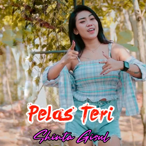 Download Lagu Shinta Gisul - Pelas Teri MP3 Download Lagu Shinta Gisul - Pelas Teri MP3
