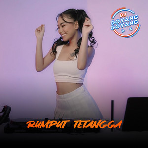 Download Lagu DJ Goyang Goyang - Rumput Tetangga MP3 Download Lagu DJ Goyang Goyang - Rumput Tetangga MP3