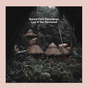 Download Lagu Nature Field Recordings - Tranquil Rainforest MP3 Download Lagu Nature Field Recordings - Tranquil Rainforest MP3