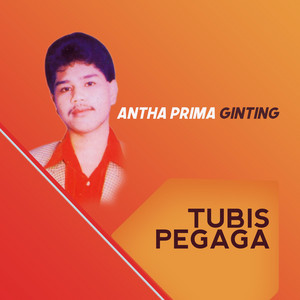 Download Lagu Antha Prima Ginting - Tubis Pegaga MP3 Download Lagu Antha Prima Ginting - Tubis Pegaga MP3