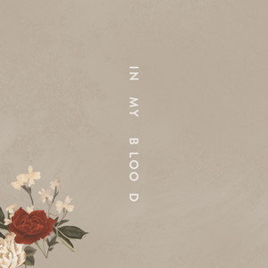 Download Lagu Shawn Mendes - In My Blood MP3 Download Lagu Shawn Mendes - In My Blood MP3