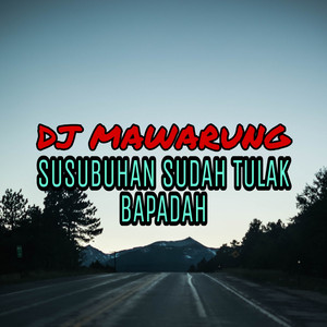 Download Lagu Dj Saputra - DJ Mawarung Susubuhan Sudah Tulak Bapadah MP3
