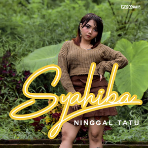 Download Lagu Syahiba - Ninggal Tatu MP3 Download Lagu Syahiba - Ninggal Tatu MP3