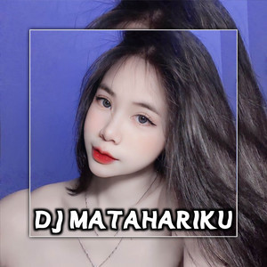 Download Lagu DJ WIDYA RMX - DJ MATAHARIKU MP3