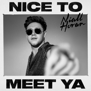 Download Lagu Niall Horan - Nice To Meet Ya MP3