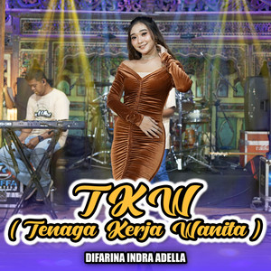 Download Lagu Difarina Indra Adella - TKW ( Tenaga Kerja Wanita ) MP3
