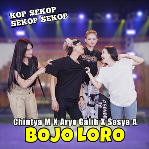 Download Lagu Chintya Martasari, Arya Galih - Bojo Loro MP3