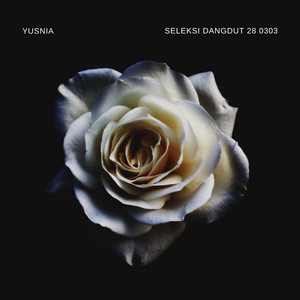 Download Lagu Yusnia - Maafkan Aku Tak Berdaya MP3