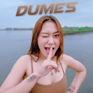 Download Lagu Vita Alvia - Dumes MP3