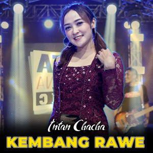 Download Lagu Intan Chacha - Kembang Rawe MP3 Download Lagu Intan Chacha - Kembang Rawe MP3
