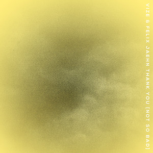 Download Lagu VIZE, Felix Jaehn - Thank You [Not So Bad] MP3